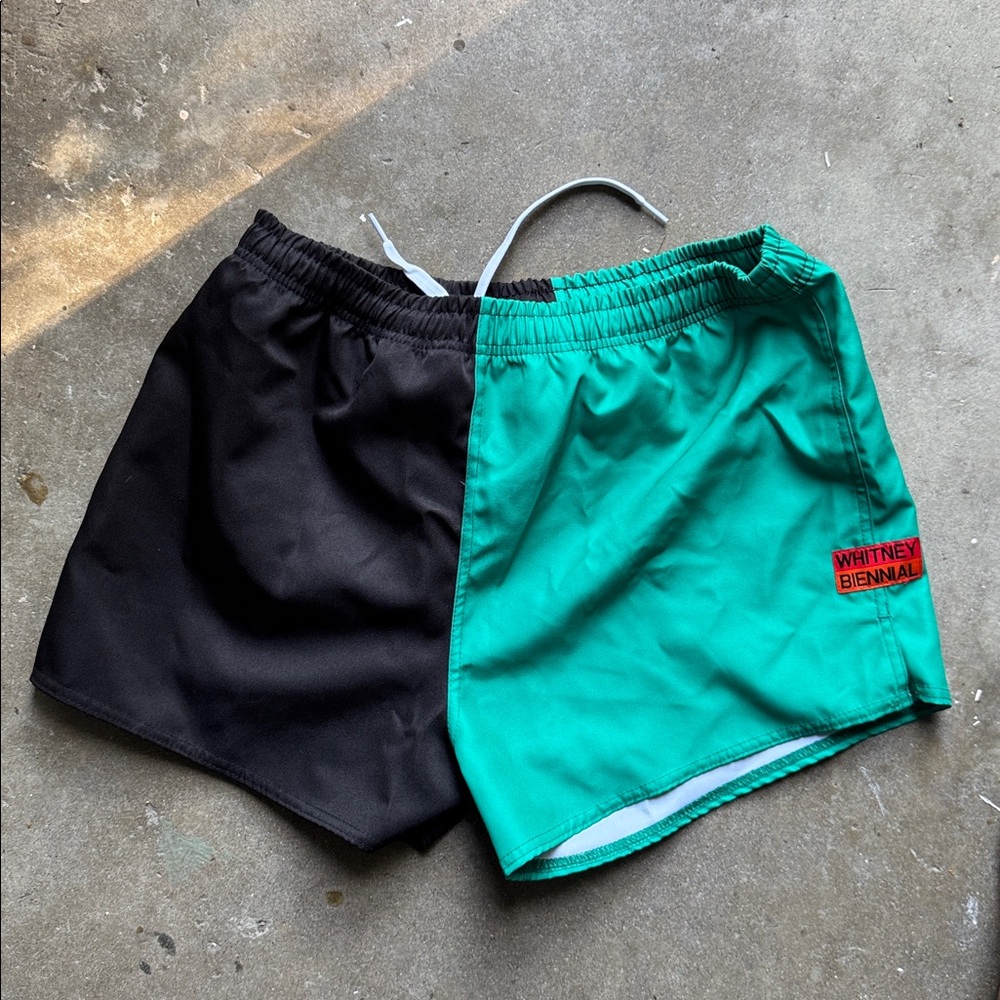 Whitney Biennial Black and Teal Shorts - size M-L